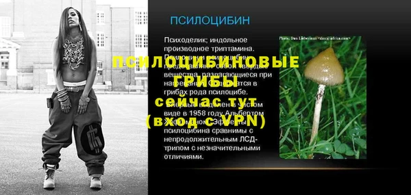 ECSTASY Куровское