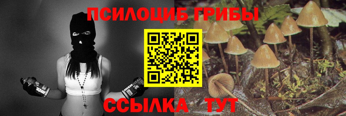 Пенза  Галлюциногенные грибы MAGIC MUSHROOMS  Вход с VPN 